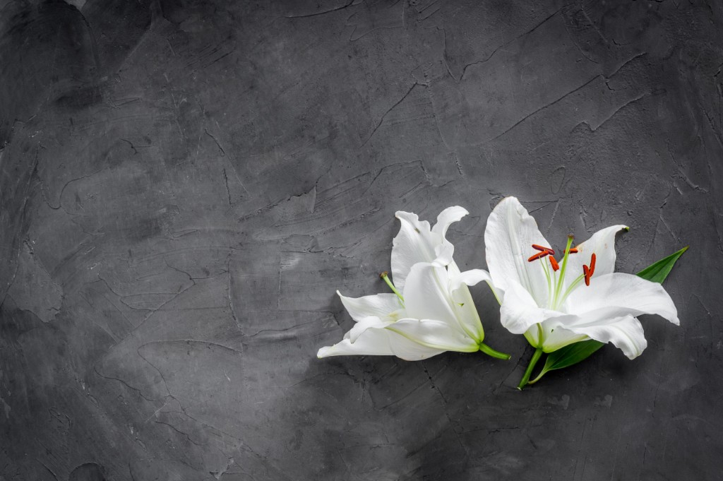 Funeral Services - The Best Guide - Popular Questions - Commital Service