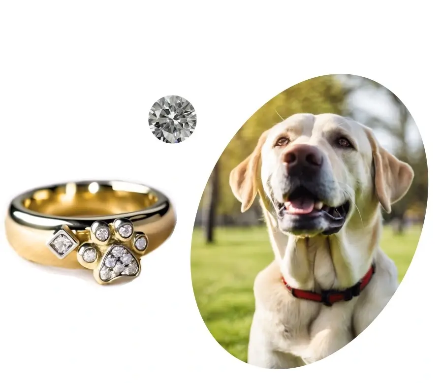 Cremation Rings - A Complete Guide+50 Photos - Pet Design