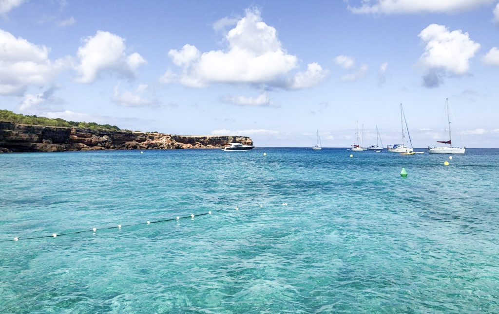 Abalisament a la platja de Cala Saona