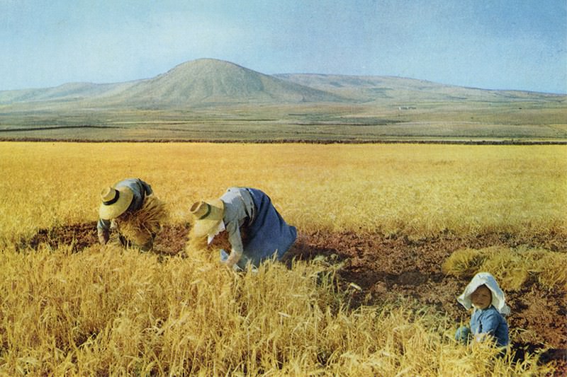 Lanzarote y la tarjeta postal