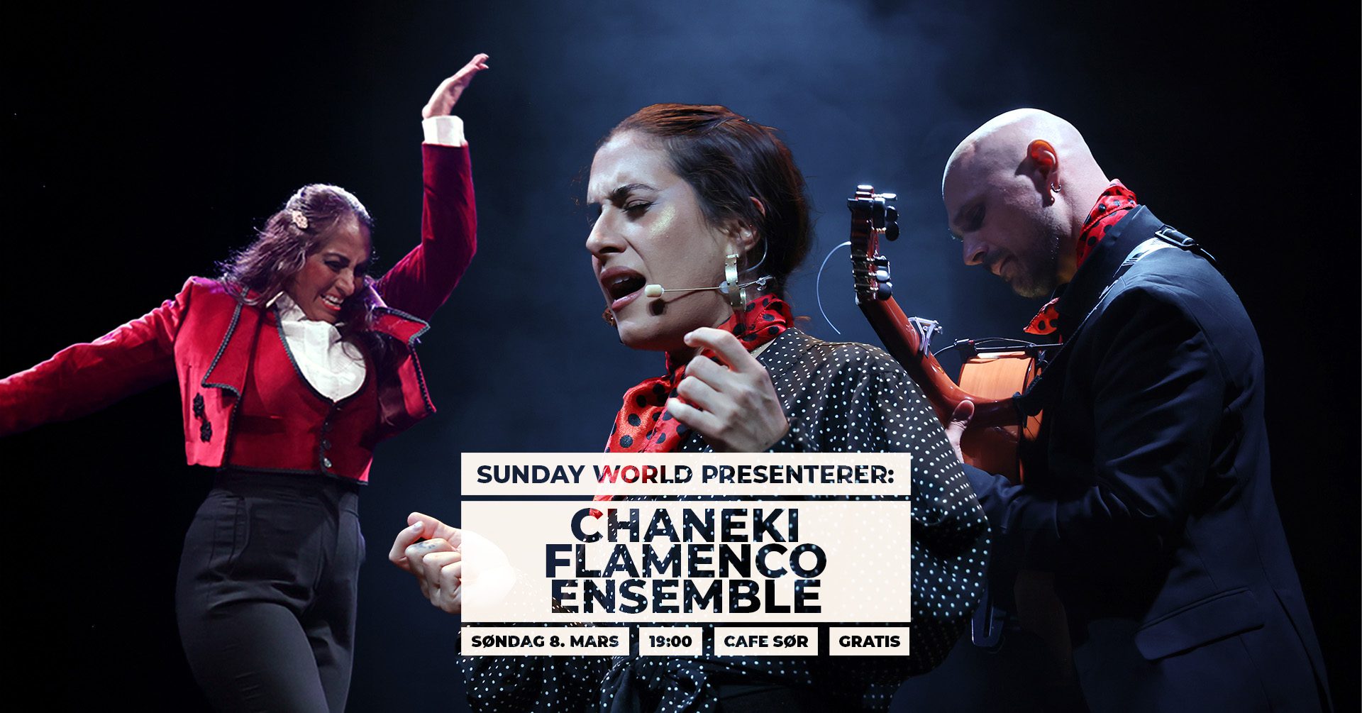 Chaneki Flamenco Ensemble