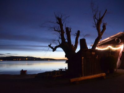 Bodensee bei Nacht