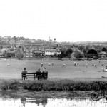 The Rye, 1955