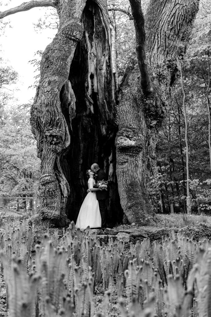 bröllopsfotograf bosjökloster