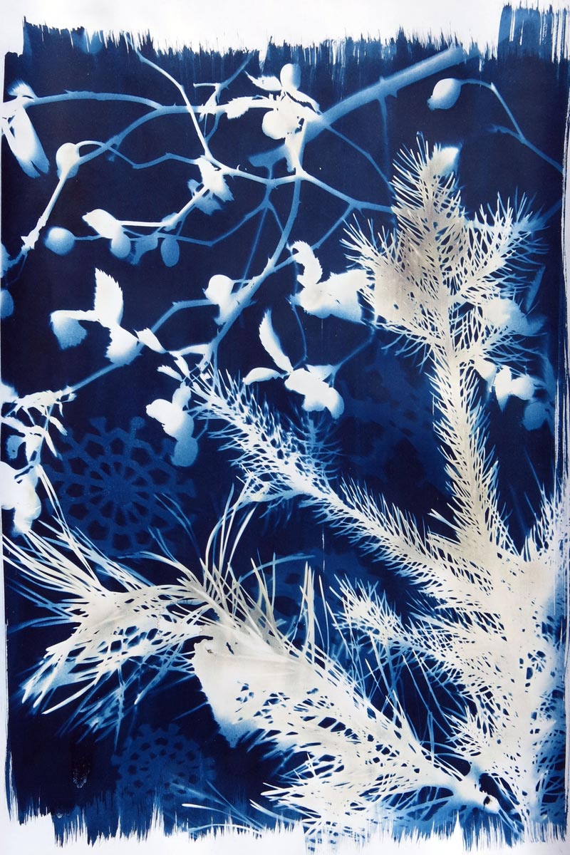 sarah-benko-cyanotypie-weihnachtsbild-herzlich-sonnendruck