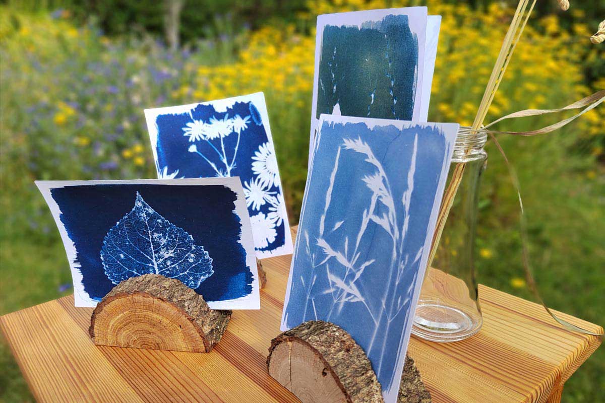sarah-benko-postkarten-summer-sunprint-handmade-1200px