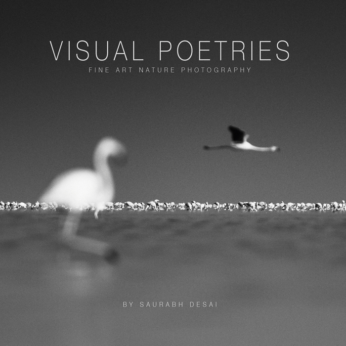Visual Poetries – By Saurabh Desai (A Coffeetable Book)