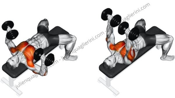 dumbbell bench press