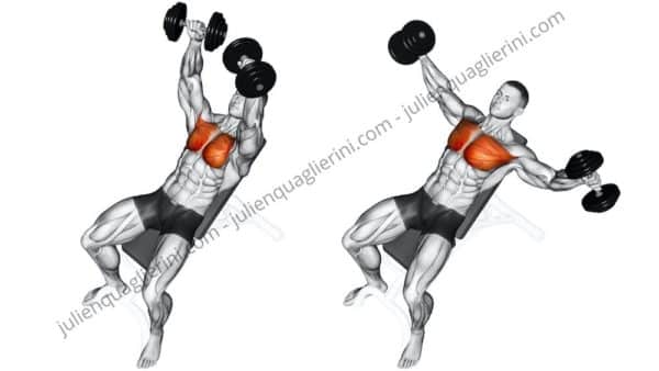 Dumbbell Curl