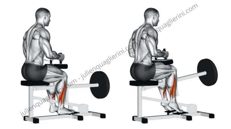 How to do the calf exercise sitting on a machine?