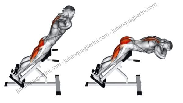 lumbar extension on the bench