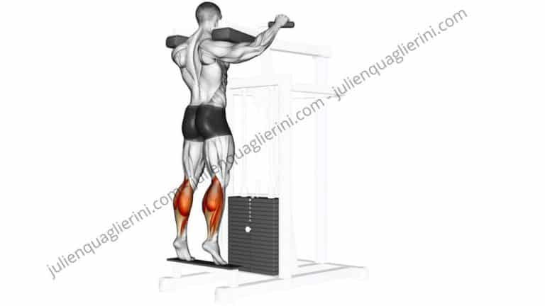 HOW TO DO THE STAND UP MOLLET EXERCISE with machine?