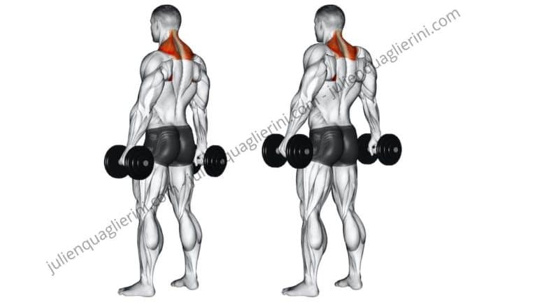 How to do the dumbbell shrugs?