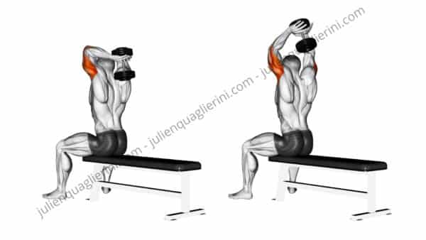 1 dumbbell neck extension