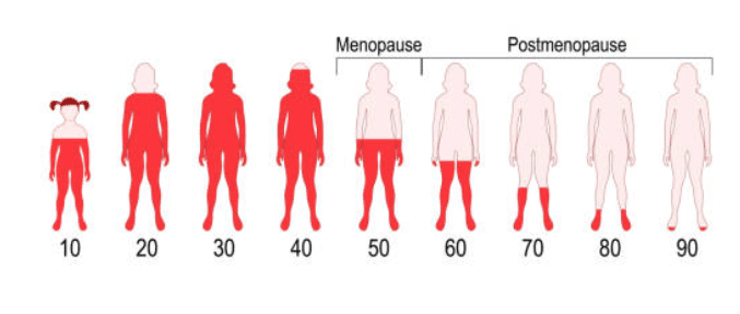 testostérone chez la femme