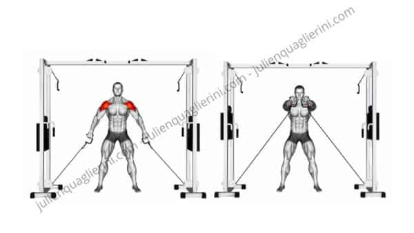 biceps finishing exercise