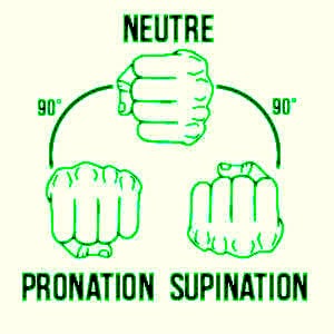 pronation supination