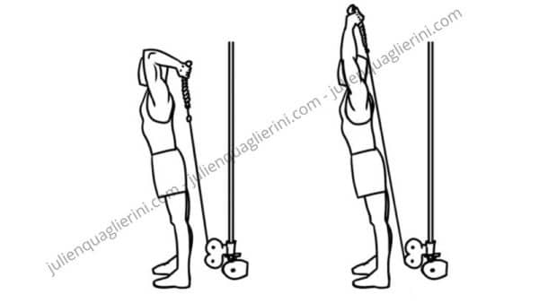 triceps pulley extension