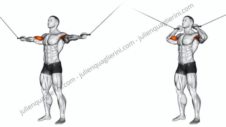 How to do double biceps with pulleys?