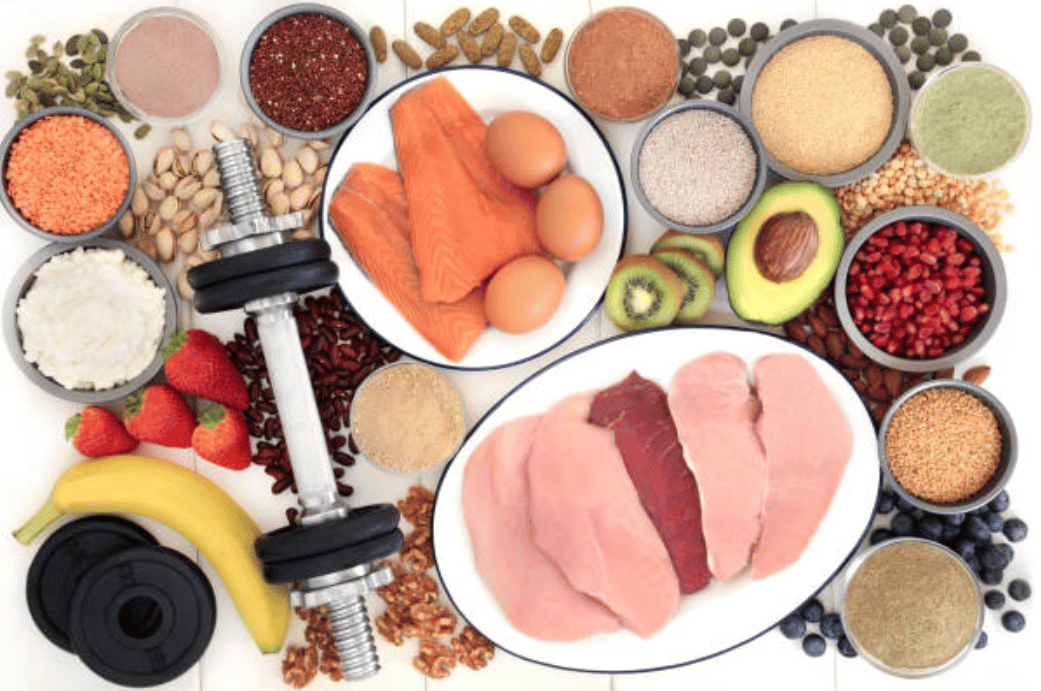 proteins for bodybuilding