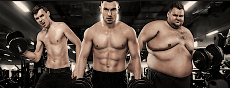 Everything you need to know about bodybuilding morphotypes