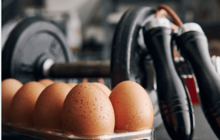 Why are eggs so important in bodybuilding?