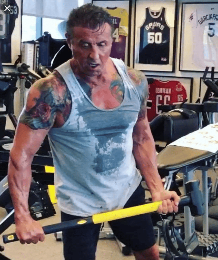 sylvester stallone muscles