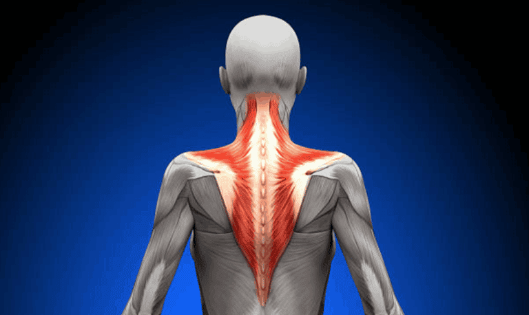 3 exercises to build up your trapezius muscles