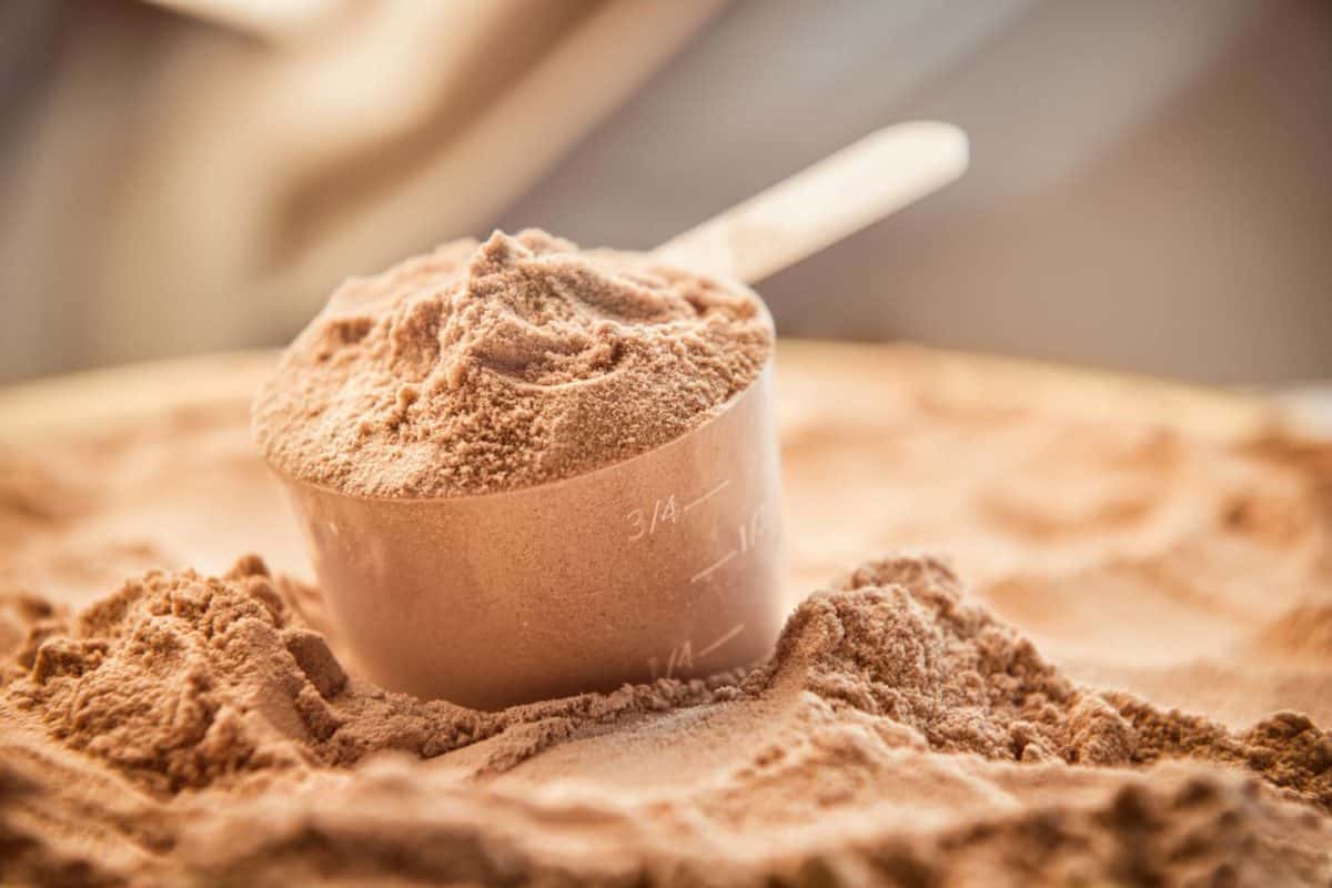 What is casein and why take it?