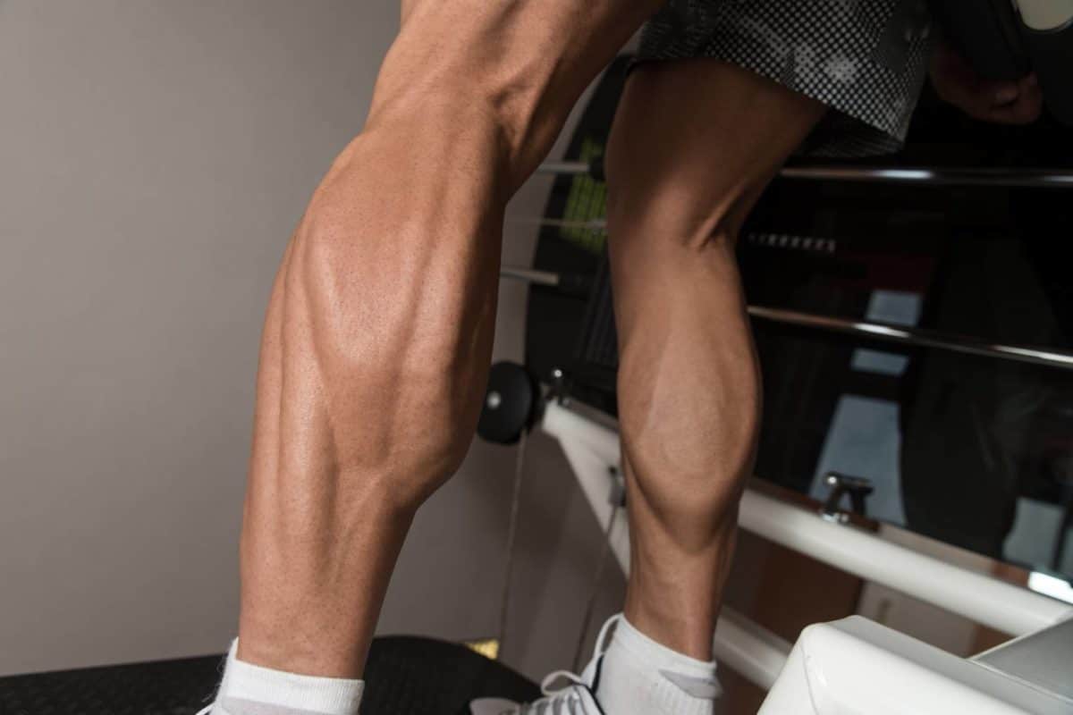 How to build up your calves? What exercises should I do to build muscle?