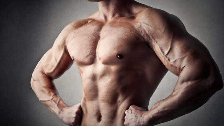 Do you know the voluntary contraction in bodybuilding?