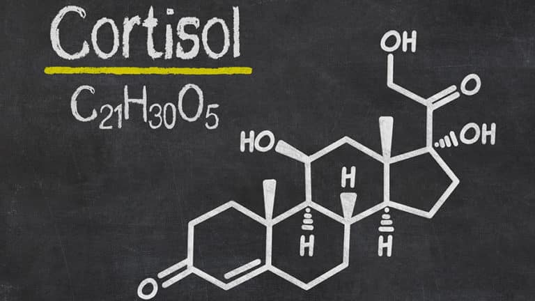 Cortisol et musculation : comment le maîtriser pour gagner du muscle ?