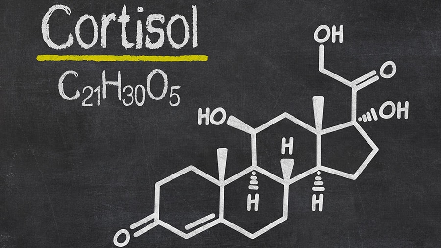 How to control cortisol to optimize muscle gain?