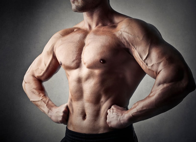 collagen for bodybuilding