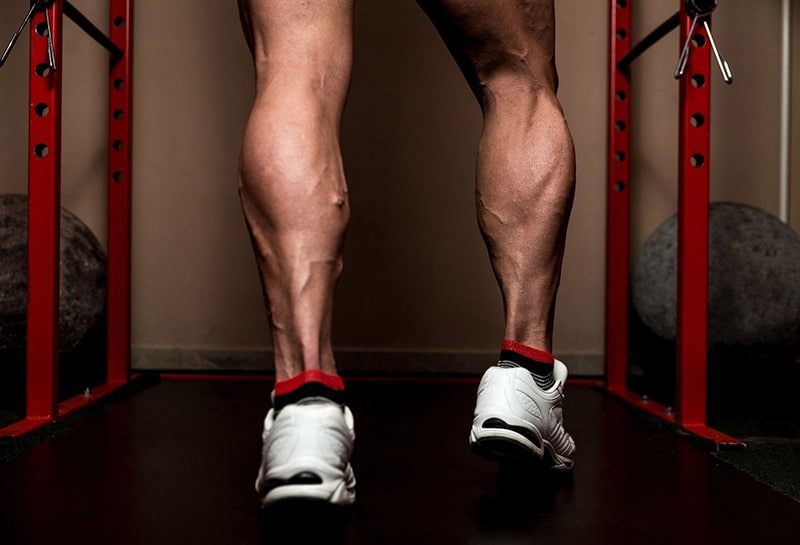 The calves of a sportsman in the weight room.