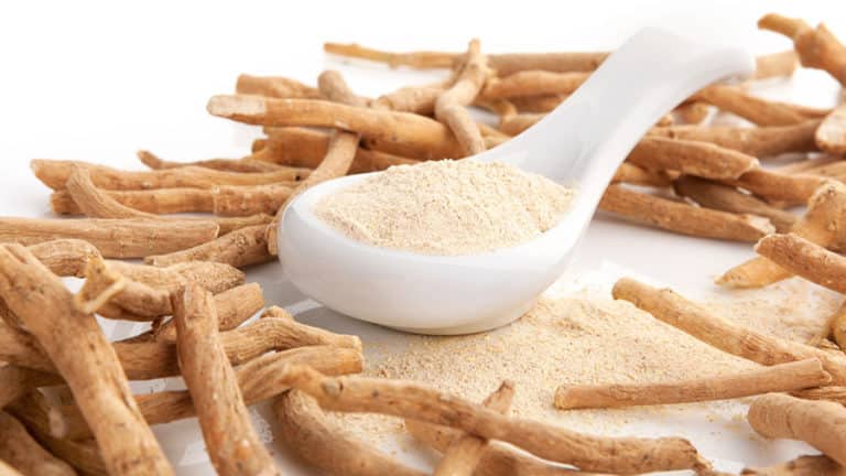 The benefits of ashwagandha in bodybuilding