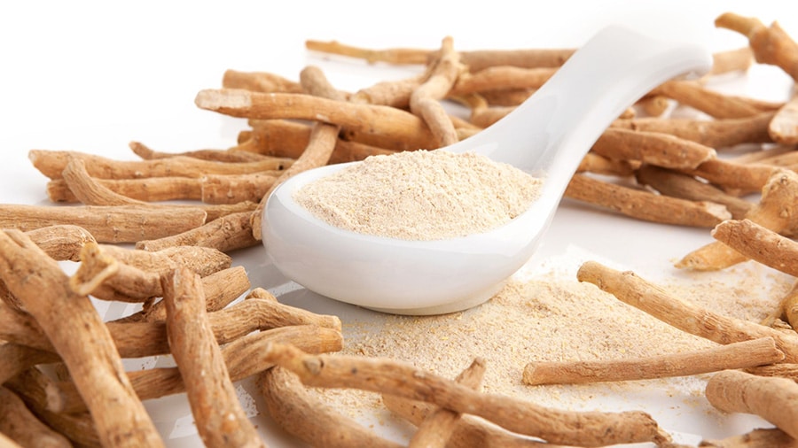 Ashwagandha roots and powder in a white spoon.