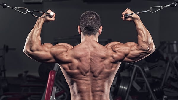 A bare-chested athlete, from behind, performs a biceps exercise on the face-to-face pulley.