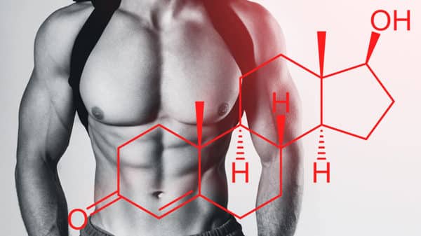 A shirtless muscular man with a scientific diagram of testosterone in front of him.