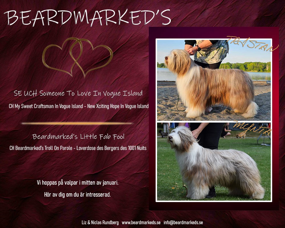 beardmarkeds bild dec