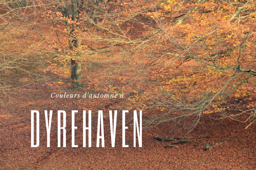 Dyrehaven