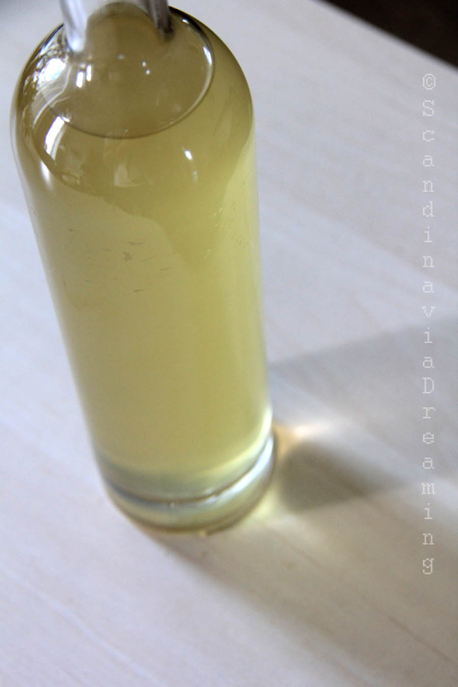 Bouteille de sirop de sureau maison