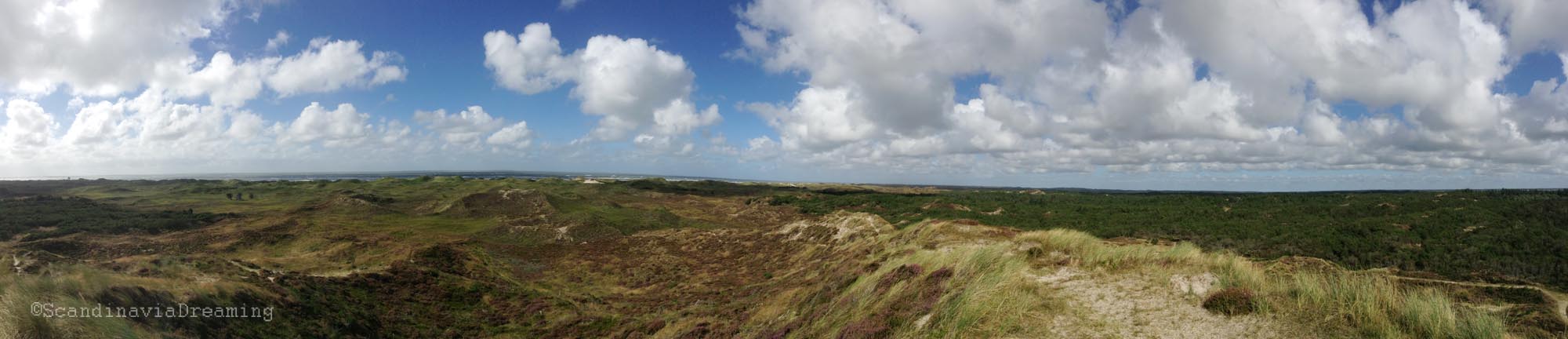 Panoramique dunes