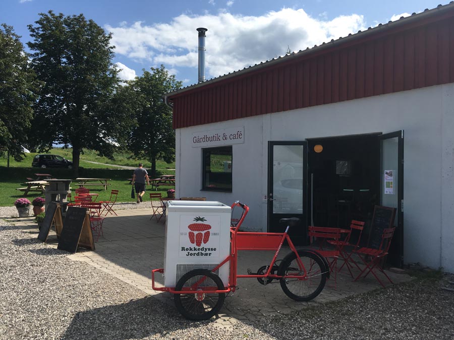 Cueillir des fraises à Copenhague