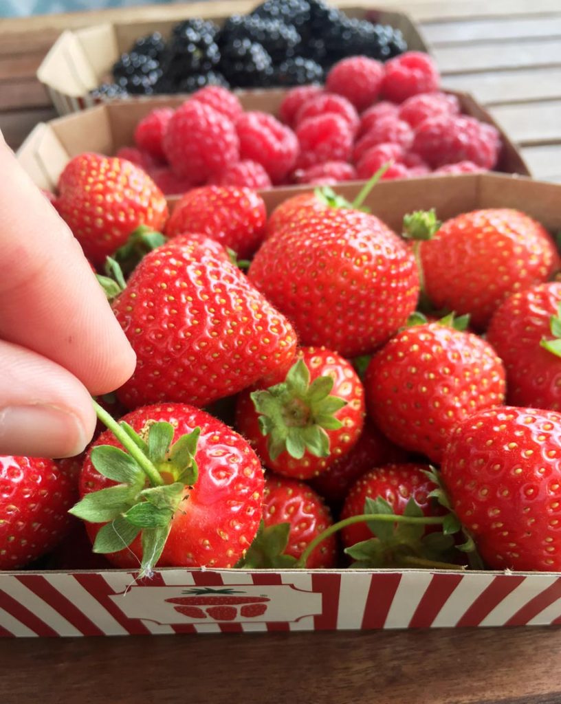 Cueillir des fraises à Copenhague