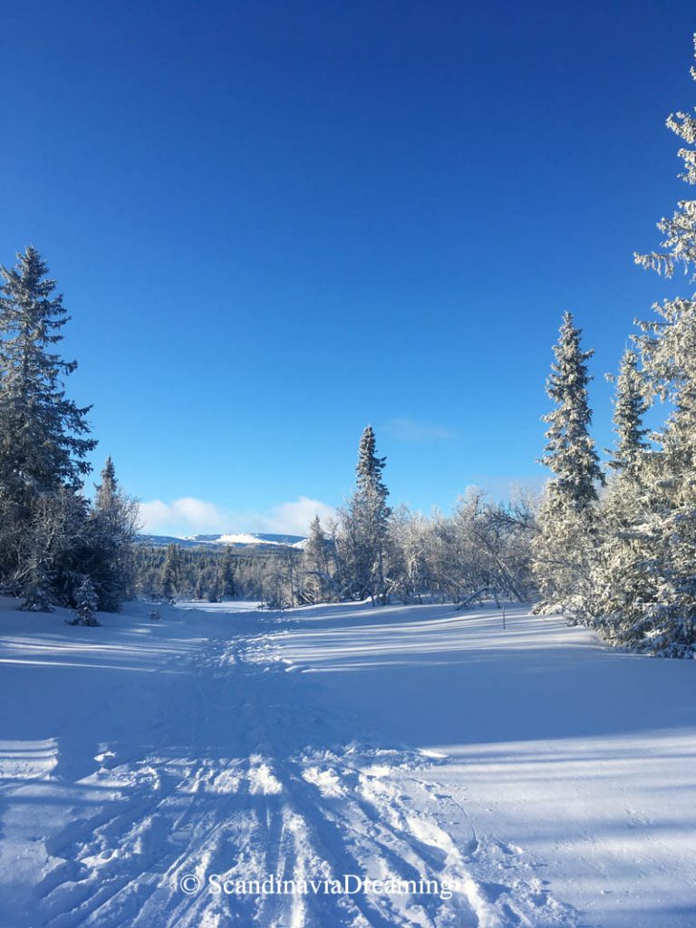 skier en Norvège