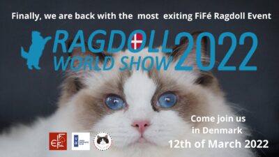 Läs mer om artikeln Internationell ragdollshow 12 mars 2022