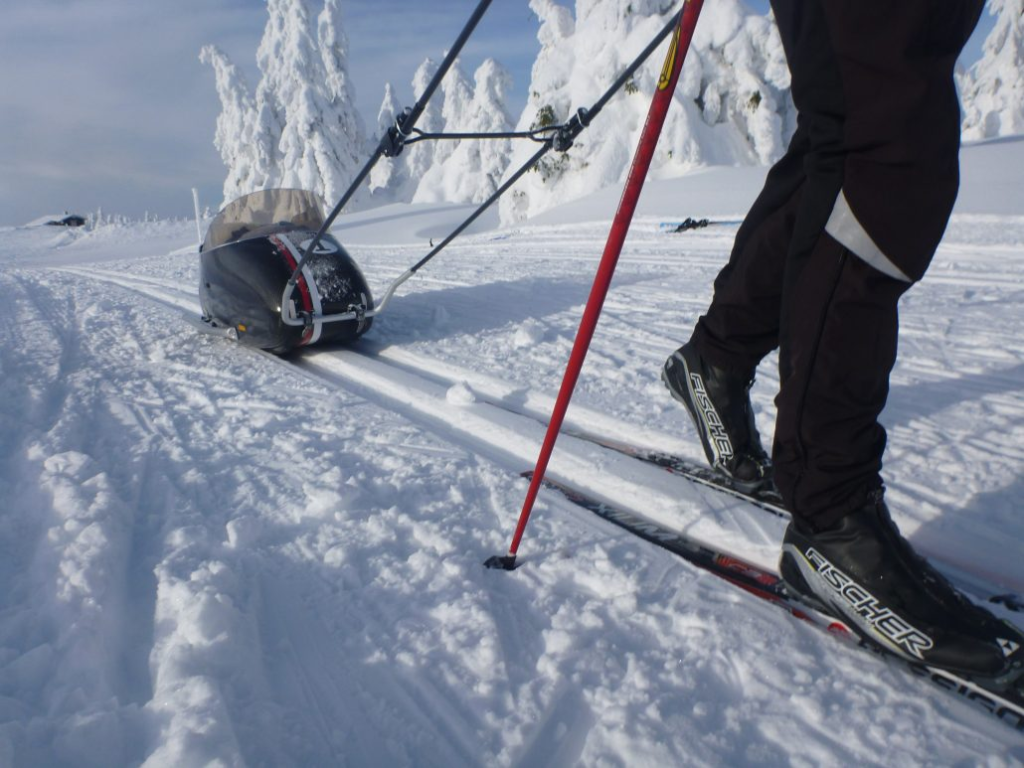 Pulk aligns with ski tracks