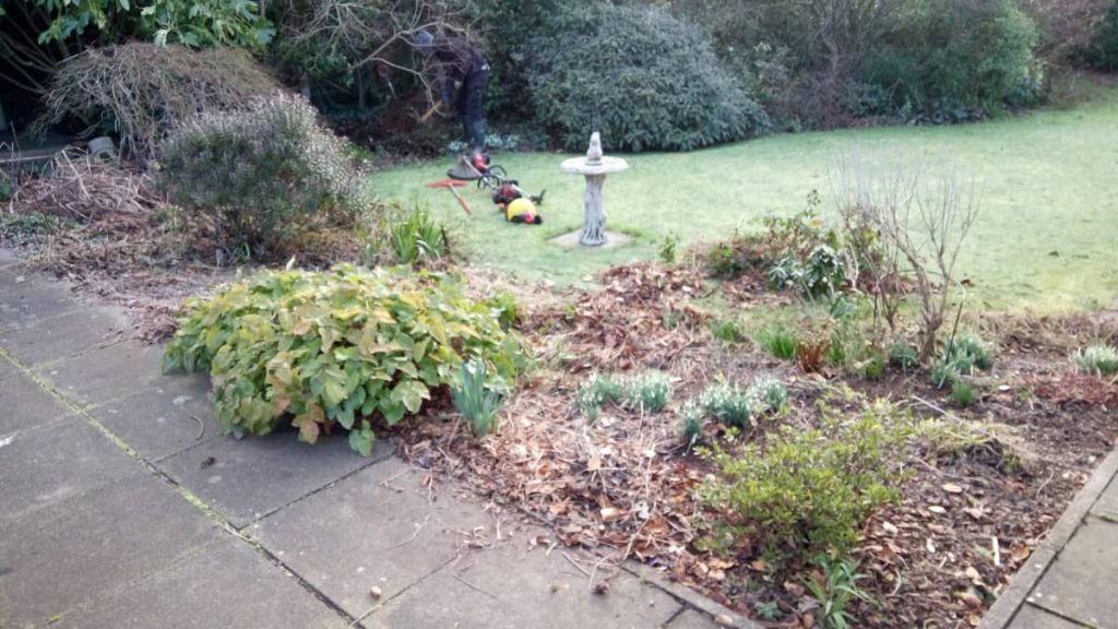 Neglected bed tidied up and converted to low maintenance in Winter