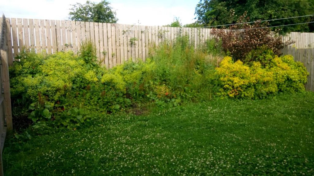 Overgrown bank converted to low maintenance with room left for kid’s slide
